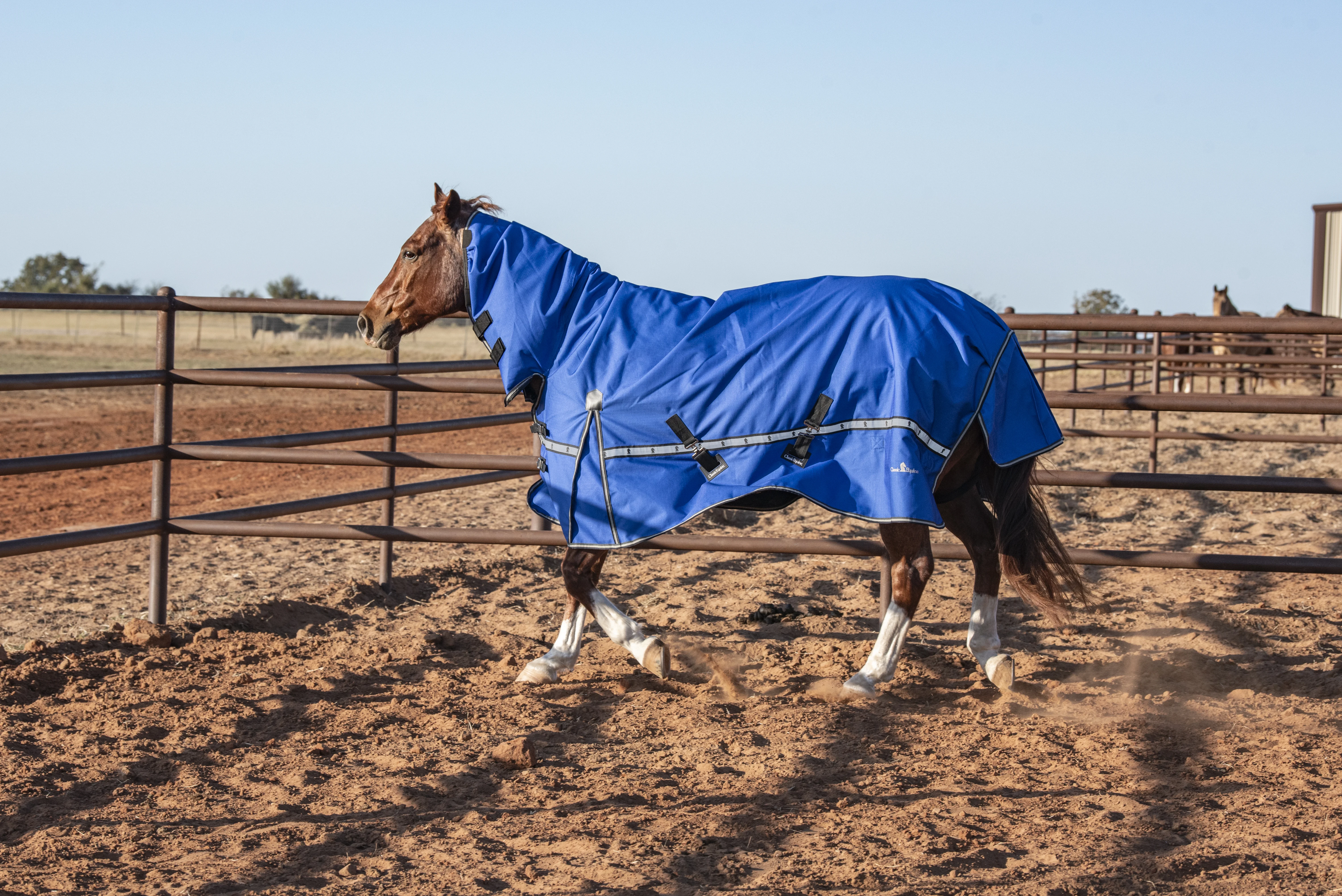 Horse wearing a Classic Equine winter blanket in a snowy paddock