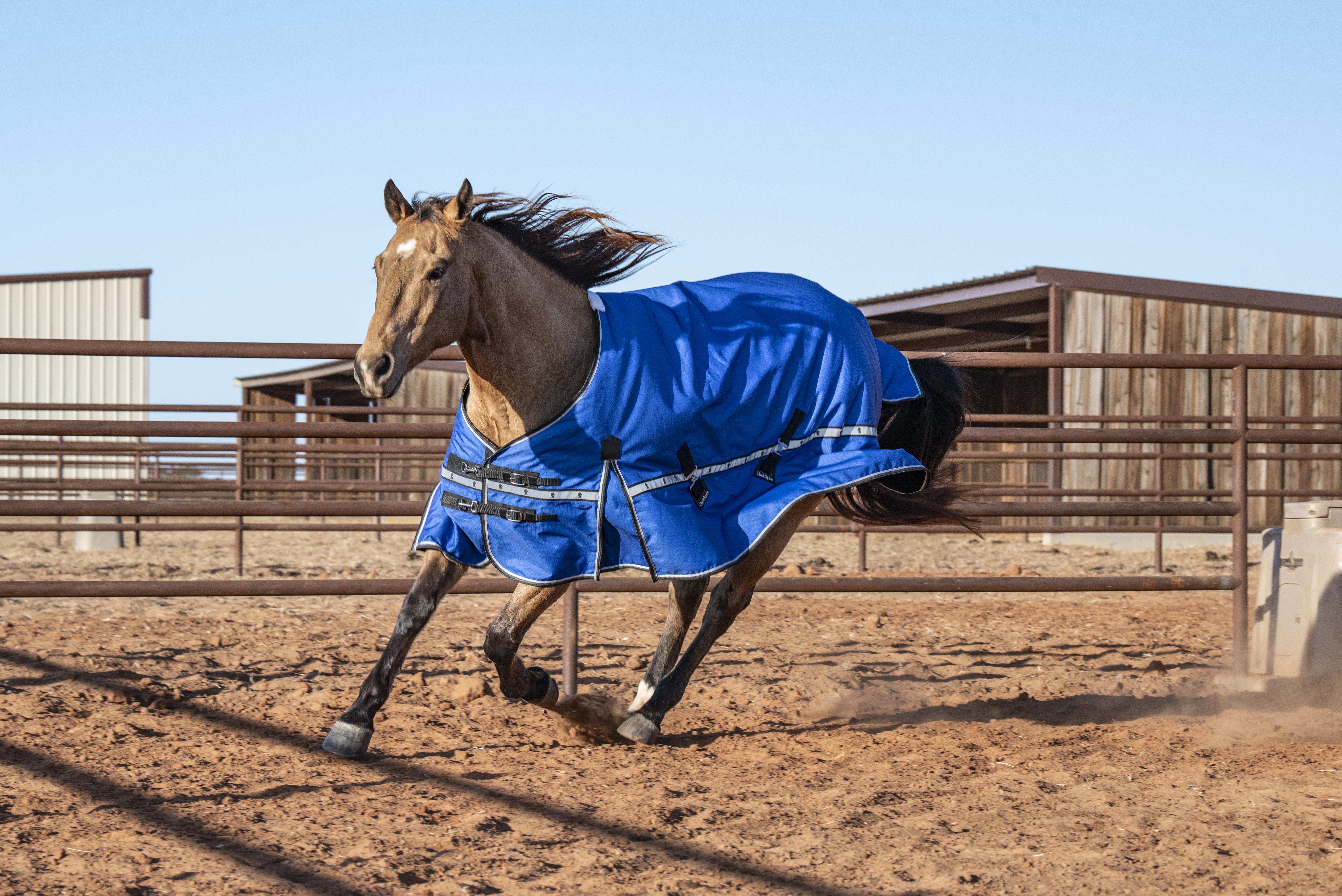 5K Cross Trainer medium-weight horse blanket with 100 grams
              of fiberfill, ideal for chilly nights in the 40s