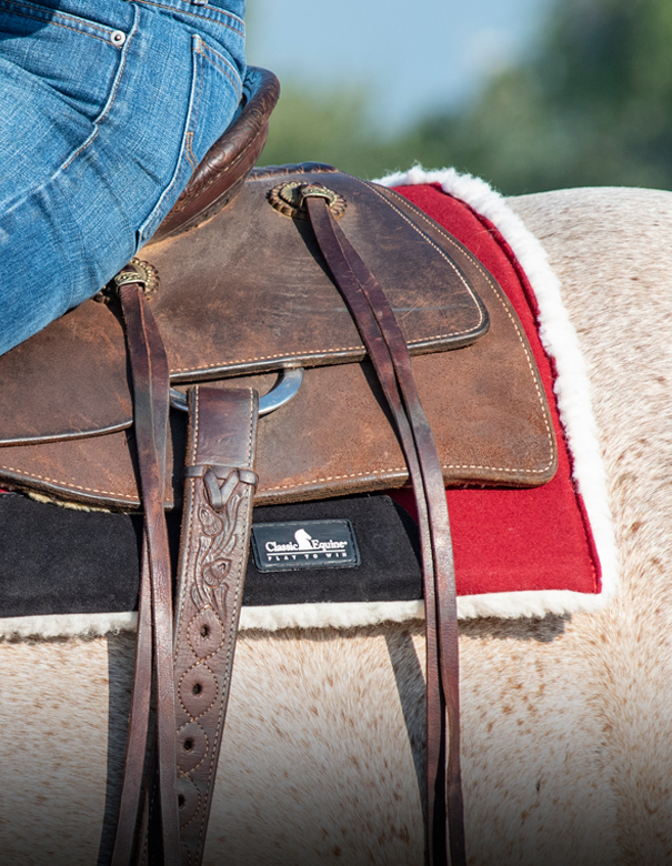 Performance Trainer Pads